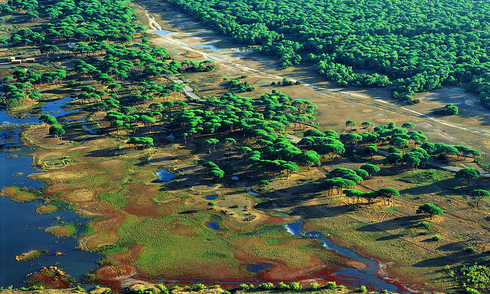 National Park of the Kotychi - Strophylia wetlands